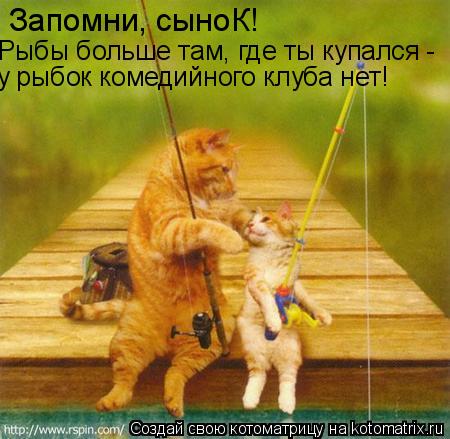 Запомни, сыноК! Рыбы больше там, где ты купался - у рыбок комедийного клуба нет!... Котоматрица: Запомни, сыноК! Рыбы больше там, где ты купался - у рыбок комедийного клуба нет!