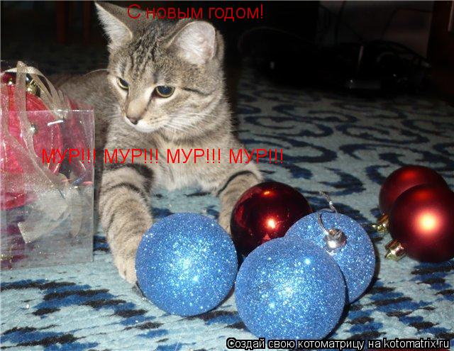 С новым годом! МУР!!! МУР!!! МУР!!! МУР!!!... Котоматрица: С новым годом! МУР!!! МУР!!! МУР!!! МУР!!!
