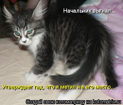 Начальник выгнал... Утверждает гад, что я метил на его место...... Котоматрица: Начальник выгнал... Утверждает гад, что я метил на его место...