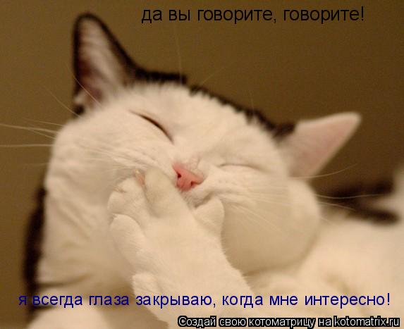 да вы говорите, говорите! я всегда глаза закрываю, когда мне интересно!... Котоматрица: да вы говорите, говорите! я всегда глаза закрываю, когда мне интересно!