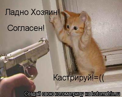 Ладно Хозяин! Согласен! Кастрируй!=((... Котоматрица: Ладно Хозяин! Согласен! Кастрируй!=((