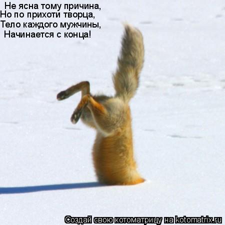 Не ясна тому причина, Но по прихоти творца, Тело каждого мужчины, Начинается с конца!... Котоматрица: Не ясна тому причина, Но по прихоти творца, Тело каждого мужчины, Начинается с конца!