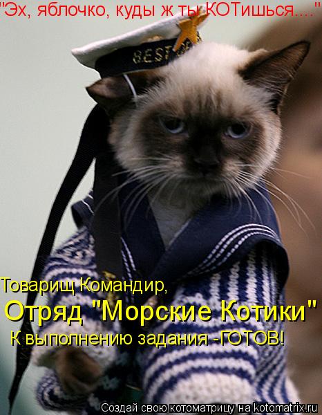 "Эх, яблочко, куды ж ты КОТишься...." Товарищ Командир, Отряд "Морские Котики" К выполнению задания ... Котоматрица: "Эх, яблочко, куды ж ты КОТишься...." Товарищ Командир, Отряд "Морские Котики" К выполнению задания -ГОТОВ!