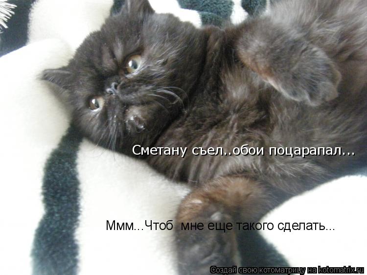Ммм...Чтоб мне еще такого сделать... Сметану съел..обои поцарапал...... Котоматрица: Ммм...Чтоб мне еще такого сделать... Сметану съел..обои поцарапал...