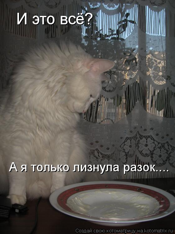 И это всё? А я только лизнула разок.... А я только лизнула разок....... Котоматрица: И это всё? А я только лизнула разок.... А я только лизнула разок....