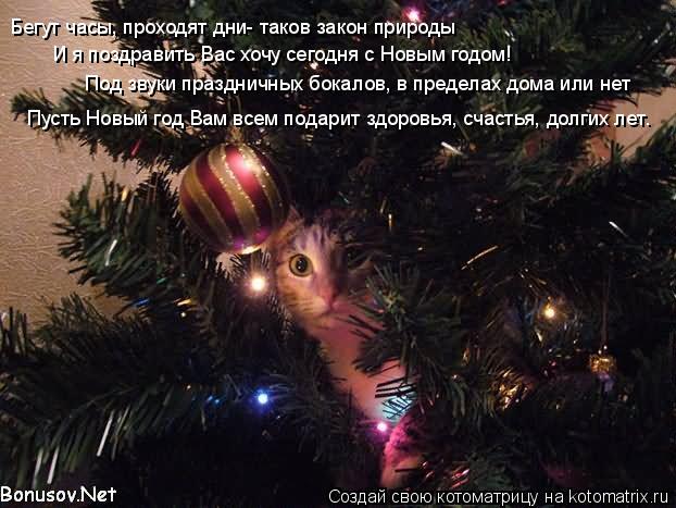 Бегут часы, проходят дни- таков закон природы И я поздравить Вас хочу сегодня с Новым годом! Под звук... Котоматрица: Бегут часы, проходят дни- таков закон природы И я поздравить Вас хочу сегодня с Новым годом! Под звуки праздничных бокалов, в пределах дома и