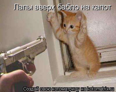 Лапы вверx бабло на капот... Котоматрица: Лапы вверx бабло на капот