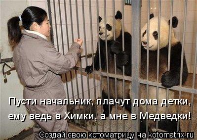 Пусти начальник, плачут дома детки, ему ведь в Химки, а мне в Медведки!... Котоматрица: Пусти начальник, плачут дома детки, ему ведь в Химки, а мне в Медведки!