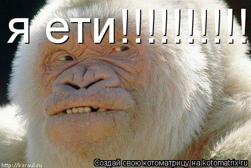 я ети!!!!!!!!!!!!!!!!... Котоматрица: я ети!!!!!!!!!!!!!!!!