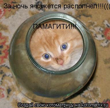 За ночь я кажется располнел!!!((( ПАМАГИТИ!!!... Котоматрица: За ночь я кажется располнел!!!((( ПАМАГИТИ!!!