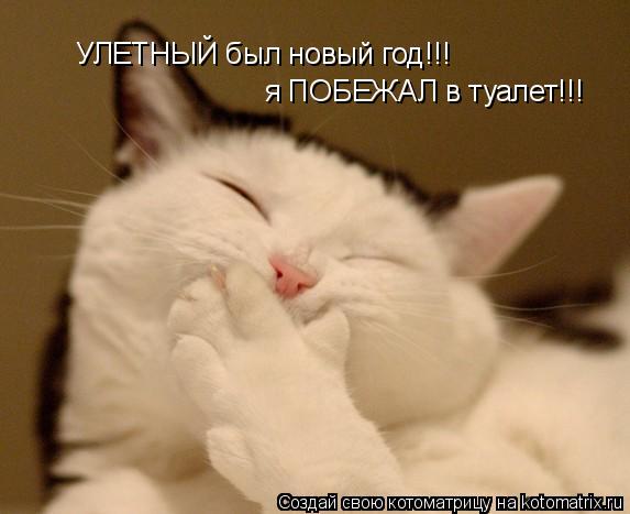 УЛЕТНЫЙ был новый год!!! я ПОБЕЖАЛ в туалет!!!... Котоматрица: УЛЕТНЫЙ был новый год!!! я ПОБЕЖАЛ в туалет!!!