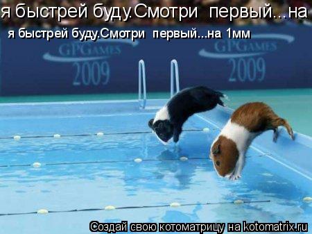 я быстрей буду.Смотри первый...на 1мм я быстрей буду.Смотри первый...на 1мм... Котоматрица: я быстрей буду.Смотри первый...на 1мм я быстрей буду.Смотри первый...на 1мм