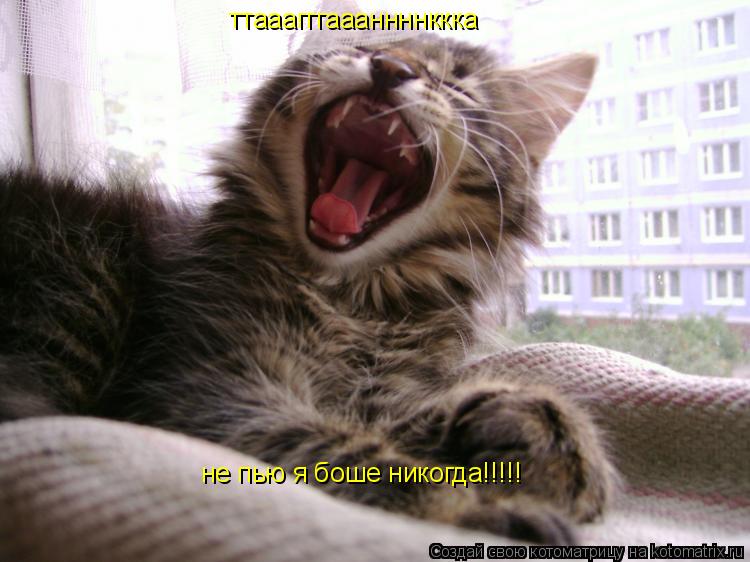 ттааагггаааннннккка не пью я боше никогда!!!!!... Котоматрица: ттааагггаааннннккка не пью я боше никогда!!!!!