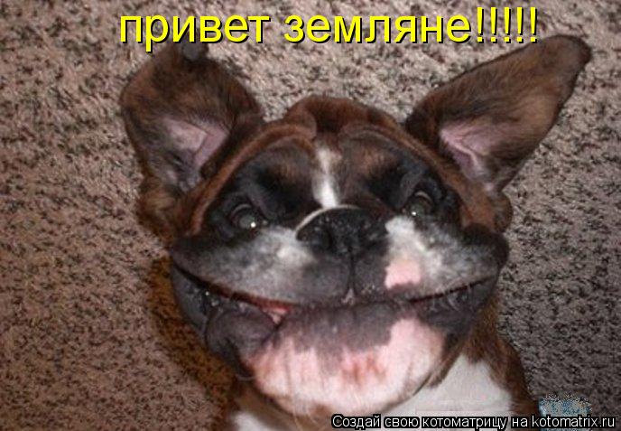 привет земляне!!!!!... Котоматрица: привет земляне!!!!!