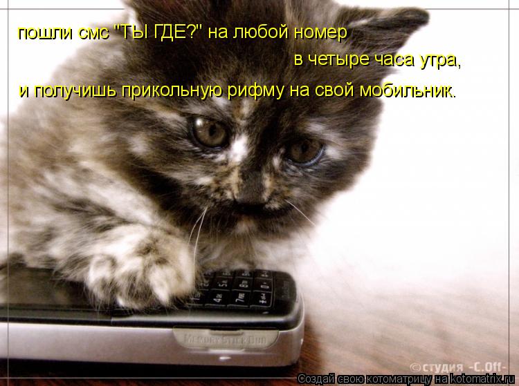 пошли смс "ТЫ ГДЕ?" на любой номер в четыре часа утра, и получишь прикольную рифму на свой мобильник... Котоматрица: пошли смс "ТЫ ГДЕ?" на любой номер в четыре часа утра, и получишь прикольную рифму на свой мобильник.