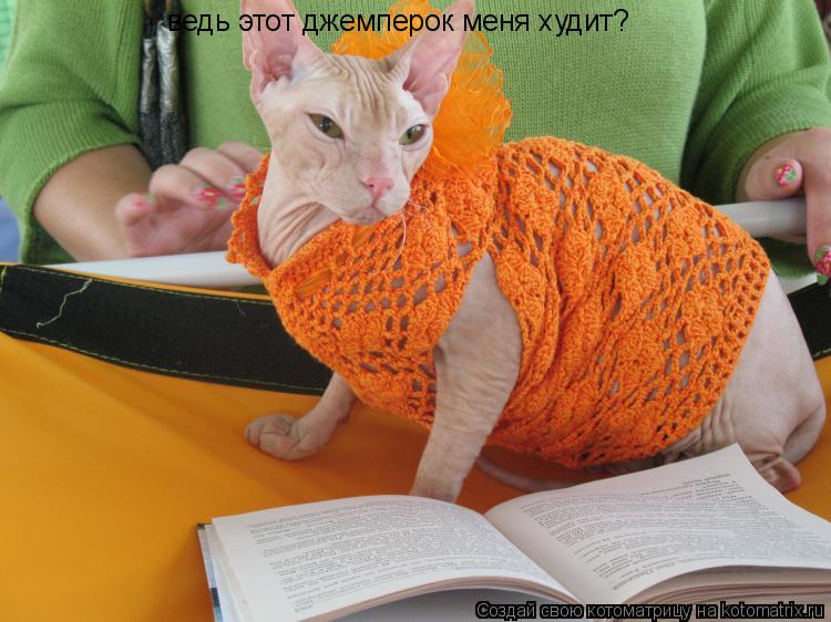 ведь этот джемперок меня худит?... Котоматрица: ведь этот джемперок меня худит?