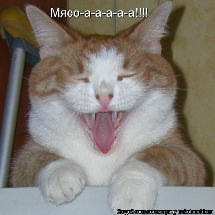 Мясо-а-а-а-а-а!!!!... Котоматрица: Мясо-а-а-а-а-а!!!!