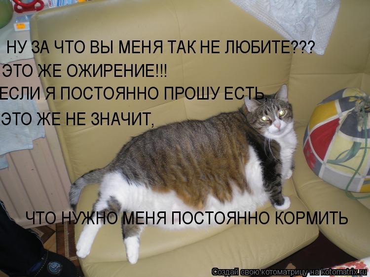 НУ ЗА ЧТО ВЫ МЕНЯ ТАК НЕ ЛЮБИТЕ??? ЭТО ЖЕ ОЖИРЕНИЕ!!! ЕСЛИ Я ПОСТОЯННО ПРОШУ ЕСТЬ, ЭТО ЖЕ НЕ ЗНАЧИТ, ... Котоматрица: НУ ЗА ЧТО ВЫ МЕНЯ ТАК НЕ ЛЮБИТЕ??? ЭТО ЖЕ ОЖИРЕНИЕ!!! ЕСЛИ Я ПОСТОЯННО ПРОШУ ЕСТЬ, ЭТО ЖЕ НЕ ЗНАЧИТ, ЧТО НУЖНО МЕНЯ ПОСТОЯННО КОРМИТЬ