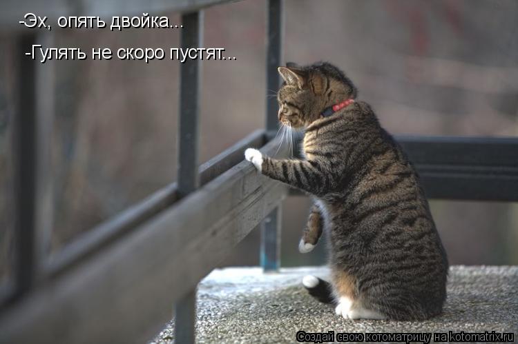 -Эх, опять двойка... -Гулять не скоро пустят...... Котоматрица: -Эх, опять двойка... -Гулять не скоро пустят...