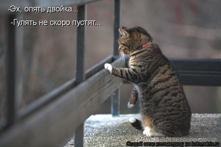 Котоматрица: -Эх, опять двойка... -Гулять не скоро пустят...