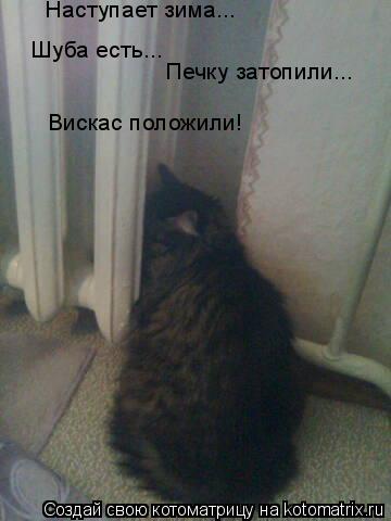 Наступает зима... Шуба есть... Печку затопили... Вискас положили!... Котоматрица: Наступает зима... Шуба есть... Печку затопили... Вискас положили!