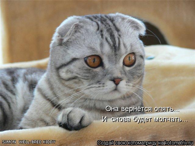 И снова будет молчать... Она вернётся опять...... Котоматрица: И снова будет молчать... Она вернётся опять...