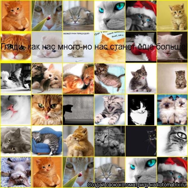 Гляди, как нас много-но нас станет ещё больше!!!... Котоматрица: Гляди, как нас много-но нас станет ещё больше!!!