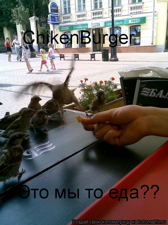 ChikenBurger Это мы то еда??... Котоматрица: ChikenBurger Это мы то еда??