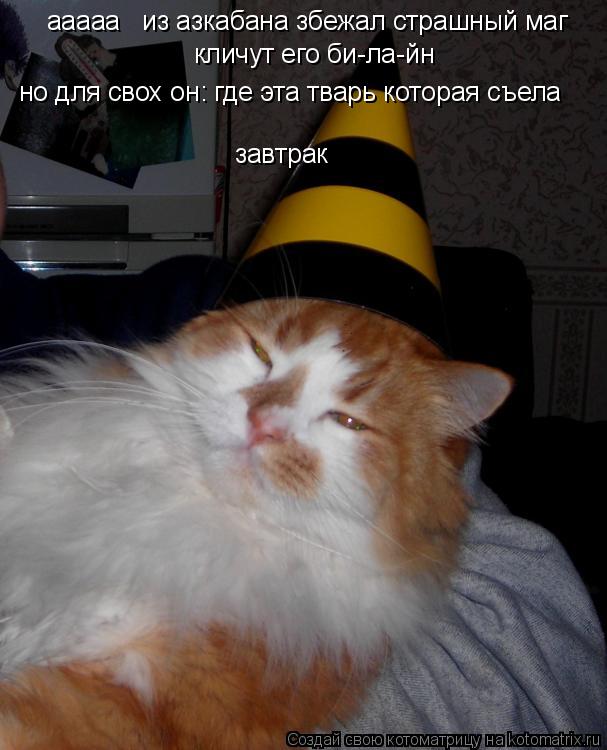 ааааа из азкабана збежал страшный маг кличут его би-ла-йн но для свох он: где эта тварь которая съ... Котоматрица: ааааа из азкабана збежал страшный маг кличут его би-ла-йн но для свох он: где эта тварь которая съела завтрак