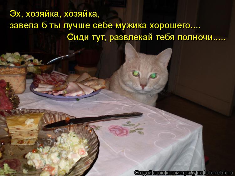 Эх, хозяйка, хозяйка, завела б ты лучше себе мужика хорошего.... Сиди тут, развлекай тебя полночи....... Котоматрица: Эх, хозяйка, хозяйка, завела б ты лучше себе мужика хорошего.... Сиди тут, развлекай тебя полночи.....
