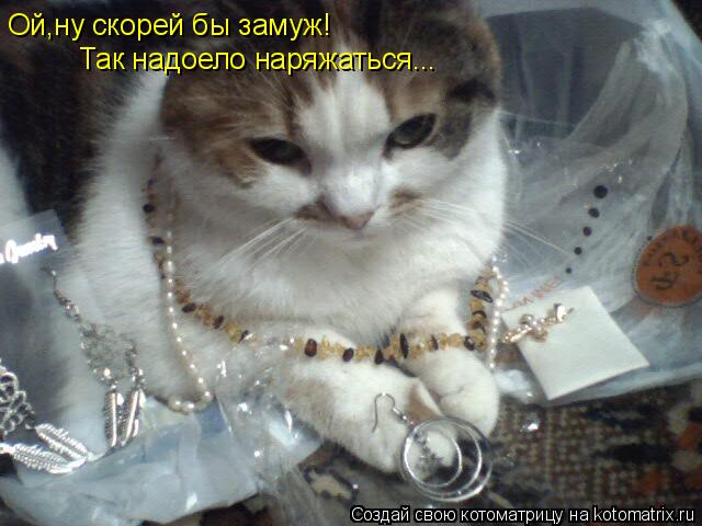 Ой,ну скорей бы замуж! Так надоело наряжаться...... Котоматрица: Ой,ну скорей бы замуж! Так надоело наряжаться...