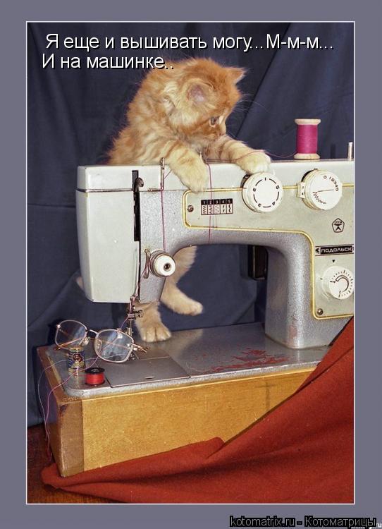 Я еще и вышивать могу...М-м-м... И на машинке..... Котоматрица: Я еще и вышивать могу...М-м-м... И на машинке..