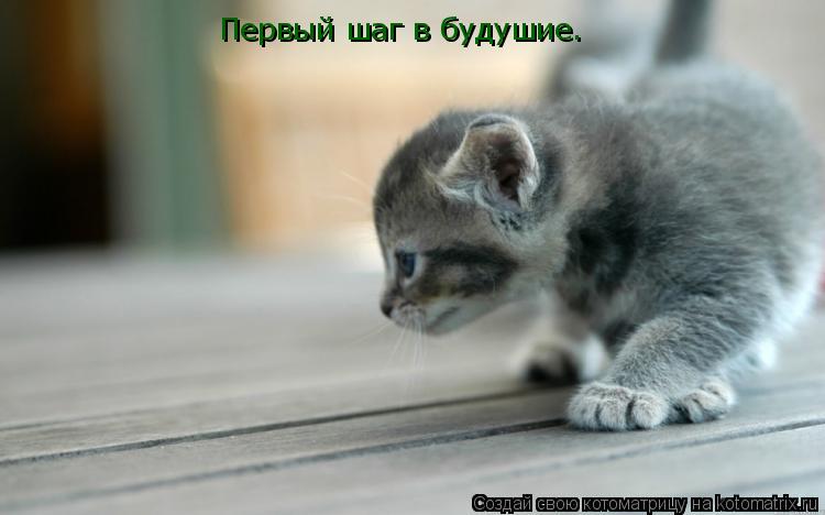 Первый шаг в будушие.... Котоматрица: Первый шаг в будушие.