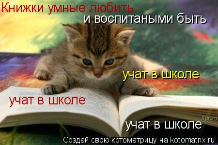 Книжки умные любить учат в школе учат в школе учат в школе и воспитаными быть... Котоматрица: Книжки умные любить учат в школе учат в школе учат в школе и воспитаными быть