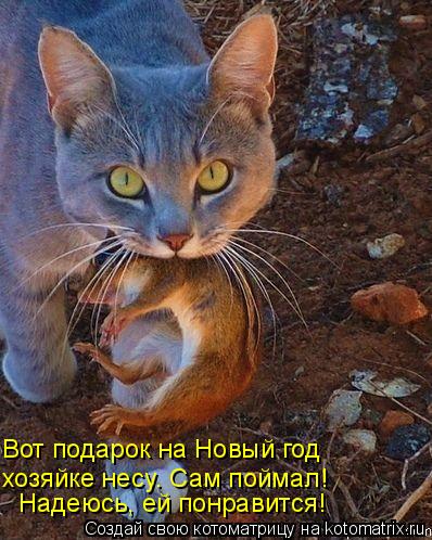 Вот подарок на Новый год хозяйке несу. Сам поймал! Надеюсь, ей понравится!... Котоматрица: Вот подарок на Новый год хозяйке несу. Сам поймал! Надеюсь, ей понравится!