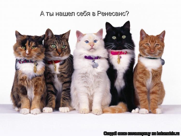А ты нашел себя в Ренесанс?... Котоматрица: А ты нашел себя в Ренесанс?