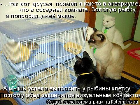 - ...так вот, друзья, поймал я как-то в аквариуме, что в соседней комнате, Золотую рыбку, и попросил... Котоматрица: - ...так вот, друзья, поймал я как-то в аквариуме, что в соседней комнате, Золотую рыбку, и попросил у неё мышь. А мышь успела выпросить у рыбины