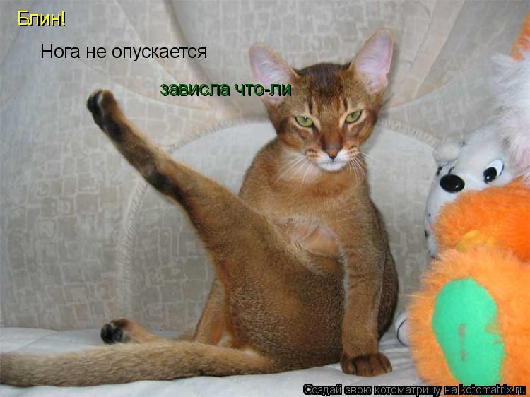 Блин! Нога не опускается зависла что-ли... Котоматрица: Блин! Нога не опускается зависла что-ли