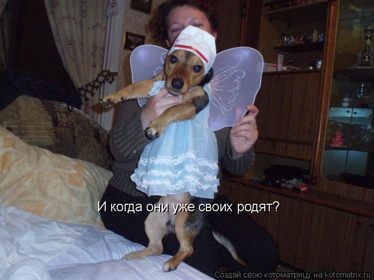 И когда они уже своих родят?... Котоматрица: И когда они уже своих родят?