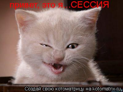 привет, это я...СЕССИЯ... Котоматрица: привет, это я...СЕССИЯ