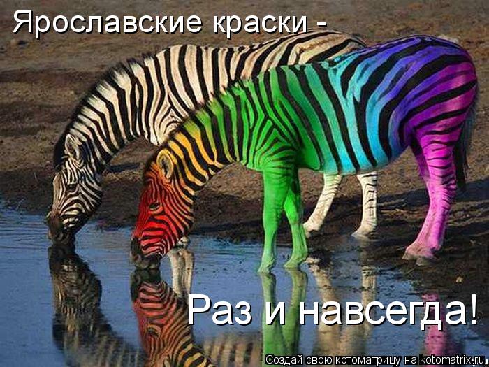 Ярославские краски - Раз и навсегда!... Котоматрица: Ярославские краски - Раз и навсегда!
