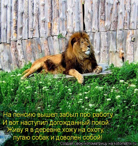 На пенсию вышел,забыл про работу, И вот наступил догожданный покой: Живу я в деревне,хожу на охоту, п... Котоматрица: На пенсию вышел,забыл про работу, И вот наступил догожданный покой: Живу я в деревне,хожу на охоту, пугаю собак и доволен собой!