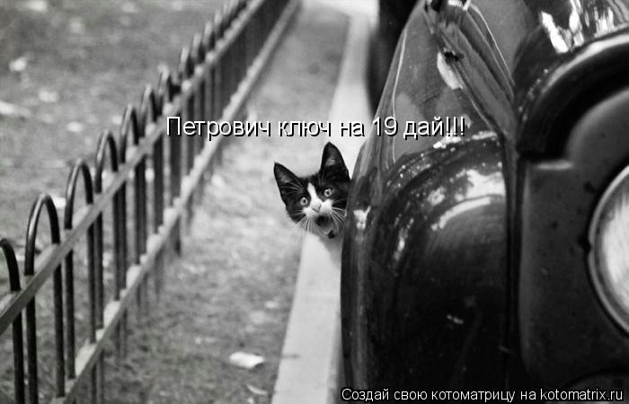 Петрович ключ на 19 дай!!!... Котоматрица: Петрович ключ на 19 дай!!!