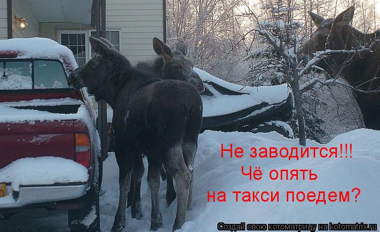 Не заводится!!! Чё опять на такси поедем?... Котоматрица: Не заводится!!! Чё опять на такси поедем?