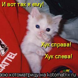 Котоматрица: И вот так я ему! Хук слева!  Хук справа!