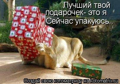 Лучший твой подарочек- это я Сейчас упакуюсь..... Котоматрица: Лучший твой подарочек- это я Сейчас упакуюсь..