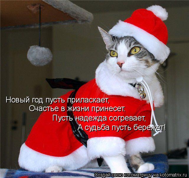 Новый год пусть приласкает, Счастье в жизни принесет. Пусть надежда согревает, А судьба пусть бережет... Котоматрица: Новый год пусть приласкает, Счастье в жизни принесет. Пусть надежда согревает, А судьба пусть бережет!
