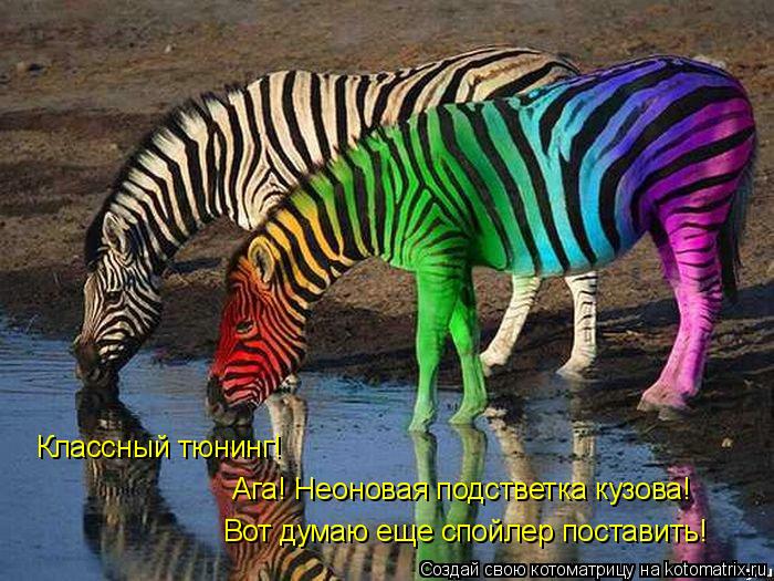 Классный тюнинг! Ага! Неоновая подстветка кузова! Вот думаю еще спойлер поставить!... Котоматрица: Классный тюнинг! Ага! Неоновая подстветка кузова! Вот думаю еще спойлер поставить!