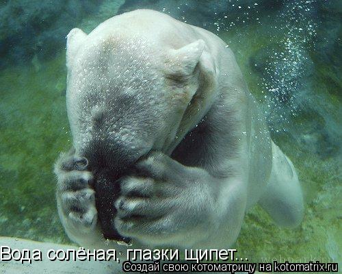 Вода солёная, глазки щипет...... Котоматрица: Вода солёная, глазки щипет...