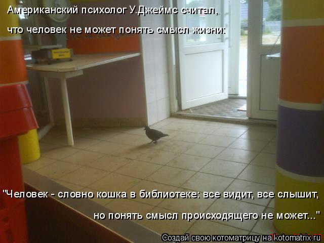 Котоматрица: Американский психолог У.Джеймс считал,  "Человек - словно кошка в библиотеке: все видит, все слышит,  но понять смысл происходящего не может...
